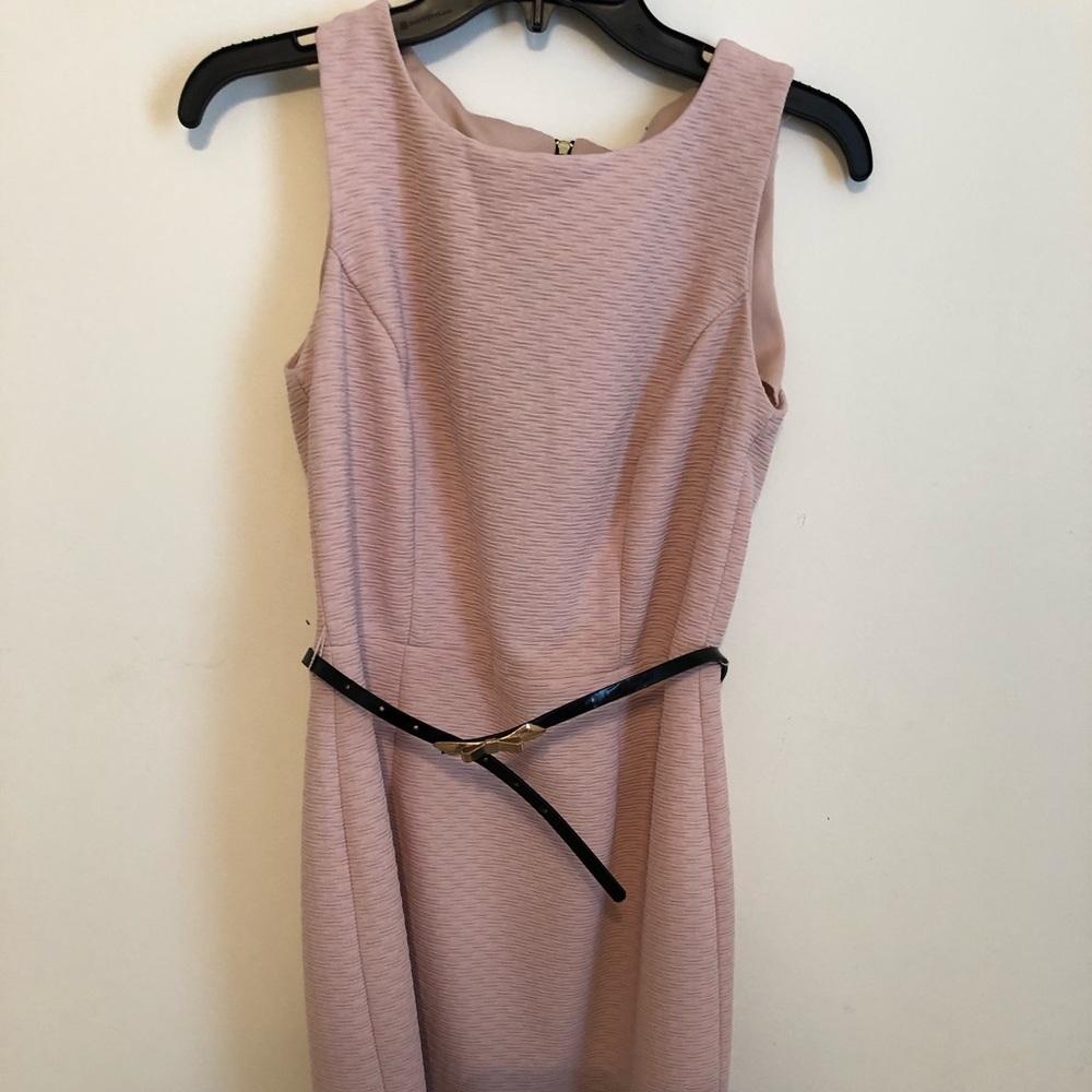 The Limited blush dress.